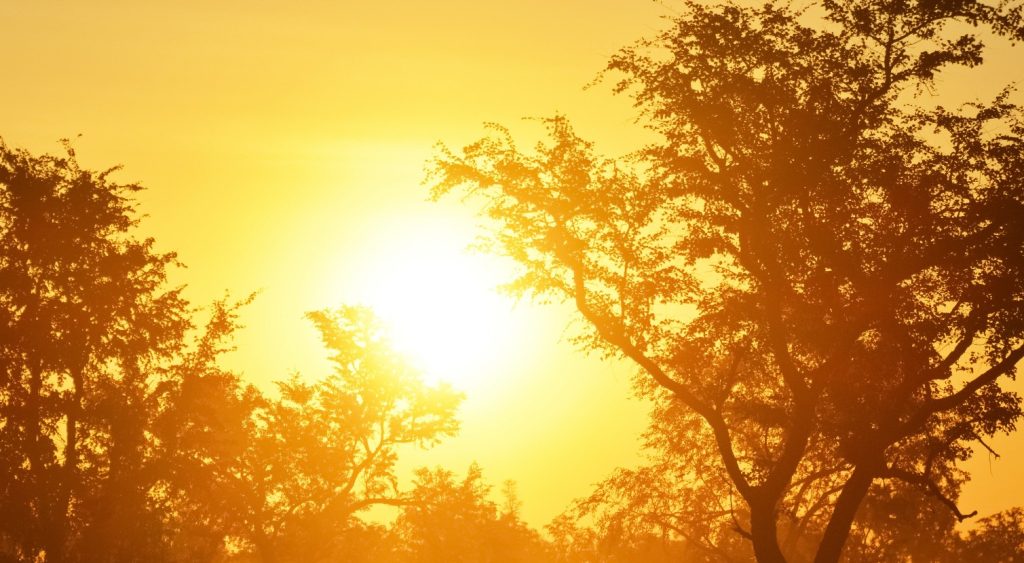 भारतमा गर्मीका कारण ११ जनाको मृत्यु