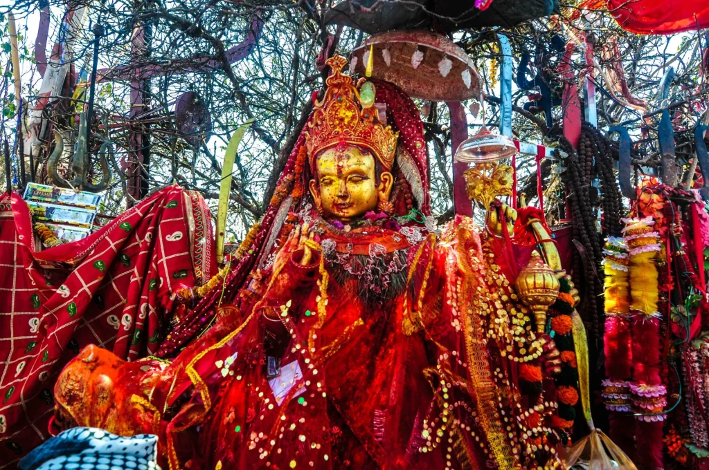 दसैँका समयमा पाथीभरामा २५ हजार धेरै भक्तजनले गरे दर्शन